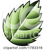 10/29/2022 - Scratchboard Engraved Green Nettle Leaf