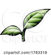 Poster, Art Print Of Scratchboard Engraved Green Leaf Branch