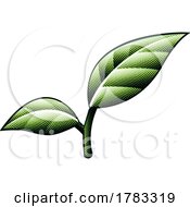Poster, Art Print Of Scratchboard Engraved Green Leaves With Black Outlines