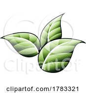 Scratchboard Engraved Green Tobacco Leaves With Black Outlines