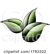 Poster, Art Print Of 3 Scratchboard Engraved Green Leaves
