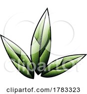 Poster, Art Print Of Green Scratchboard Engraved Leaves