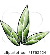 Scratchboard Engraved Green Tobacco Leaves