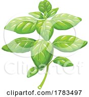 Poster, Art Print Of Basil Plant