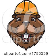 Construction Beaver