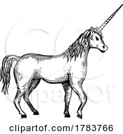 Sketched Unicorn
