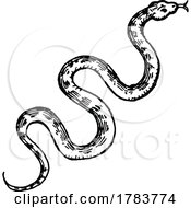 Sketched Snake