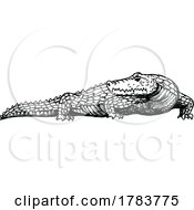 Sketched Crocodile