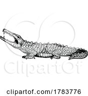 Sketched Crocodile