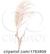 Pampas Grass by Vector Tradition SM