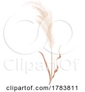 Pampas Grass by Vector Tradition SM
