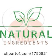 Natural Organic Eco Design