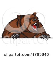 Roaring Grizzly Bear Over A Sign