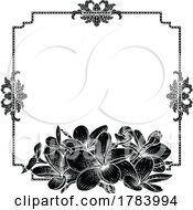 Plumeria Tropical Flower Wedding Invite Background