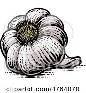 Poster, Art Print Of Garlic Bulb