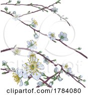 Poster, Art Print Of Cherry Peach Blossom Tree Flowers