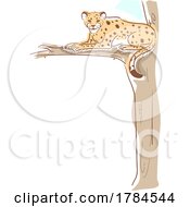 Cheetah In A Tree