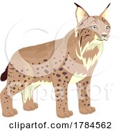 Poster, Art Print Of Romanian Lynx