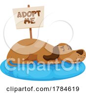 Poster, Art Print Of Dog Resting On A Bed With An Adopt Me Sign
