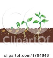Poster, Art Print Of Seed Germination