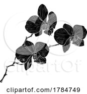 Poster, Art Print Of Orchid Flower Woodcut Orchids Graphic Design