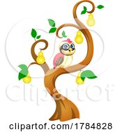 Poster, Art Print Of Partridge In A Pear Tree