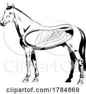 Poster, Art Print Of Horse With Visible Organs