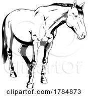 Poster, Art Print Of Horse Standing