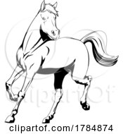 Poster, Art Print Of Horse Trotting