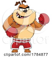 Cartoon Tough Boxer Bulldog