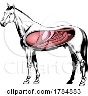 Horse With Visible Organs by Hit Toon