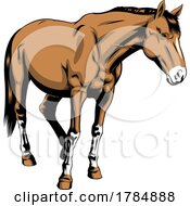 Poster, Art Print Of Horse Standing
