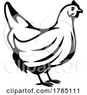 Poster, Art Print Of Black And White Hen