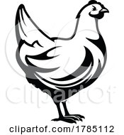 Black And White Hen by Vector Tradition SM