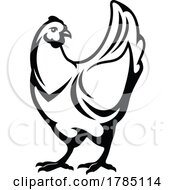 Poster, Art Print Of Black And White Hen