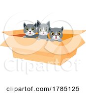 Poster, Art Print Of Kittens In A Box