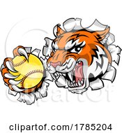 Poster, Art Print Of Tiger Softball Animal Sports Team Mascot