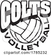 Poster, Art Print Of Black And White Colts Volleyball Sports Team Design