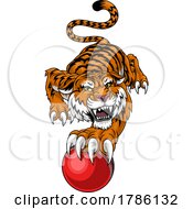 Poster, Art Print Of Tiger Cricket Ball Animal Sports Team Mascot