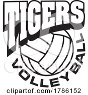 Poster, Art Print Of Tigers Team Soccer With A Volleyball