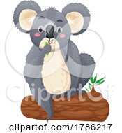 Poster, Art Print Of Koala