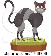 Poster, Art Print Of Cat Standing On A Bed
