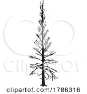 Poster, Art Print Of Collection Of Winter Tree Silhouette