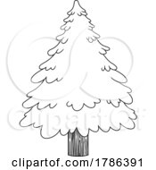 Cartoon Black And White Evergreen Or Christmas Tree
