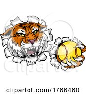 Poster, Art Print Of Tiger Softball Animal Sports Team Mascot