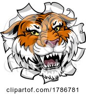 Poster, Art Print Of Tiger Animal Sports Team Cartoon Mascot