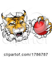 Wildcat Bobcat Cricket Ball Animal Team Mascot