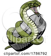 Snake Ice Hockey Team Sports Cartoon Mascot by AtStockIllustration