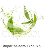 Green Tea Splash And Leaves