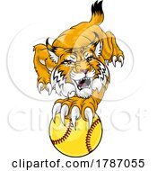 Wildcat Bobcat Softball Animal Sports Team Mascot